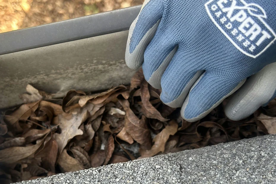 Gutter Cleaning Highland Beach FL